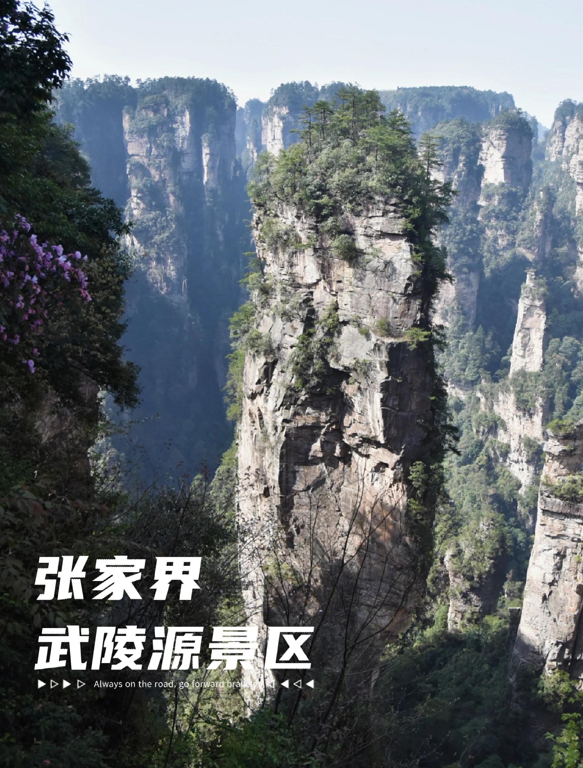 张家界武陵源旅游攻略 实用贴士让你轻松玩转仙境