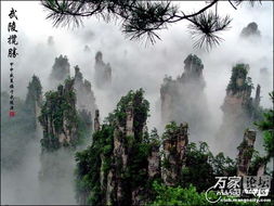 2013年湖南张家界精品旅游攻略 探秘奇峰仙境，线路与图片全解析