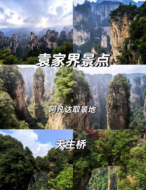 张家界森林公园东门旅游攻略